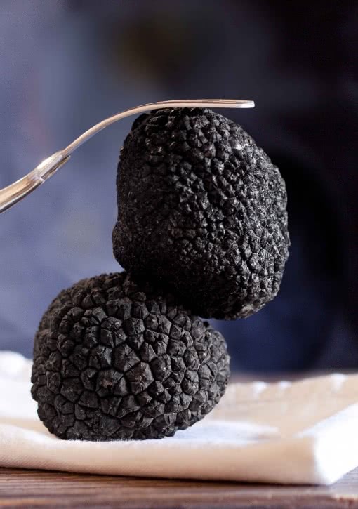 Truffe noire