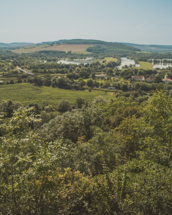 🌿 À la découverte du Parc naturel...