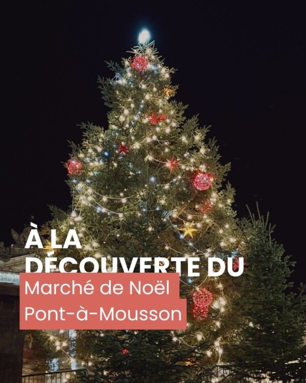 Plongez dans la magie du marché de...