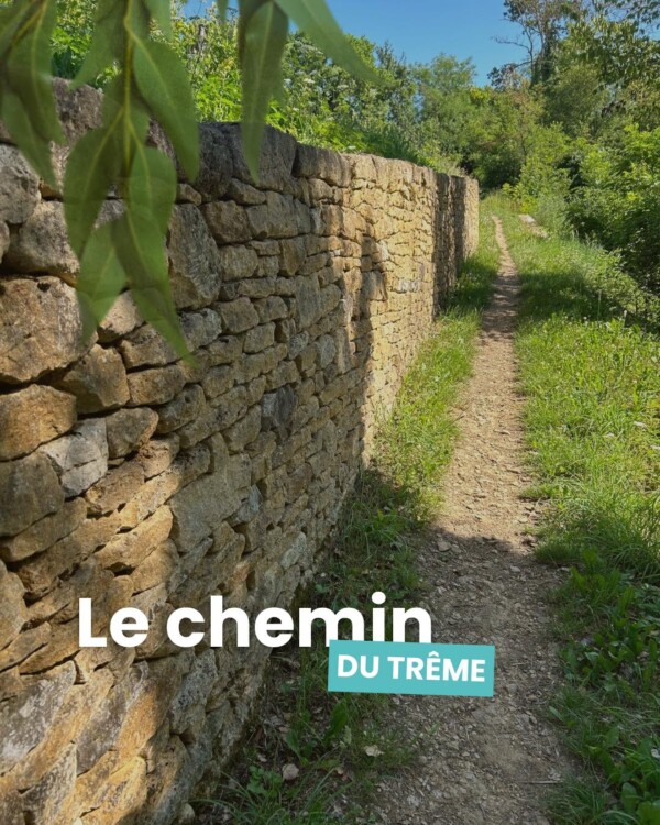 🌿 [Visite guidée – Dimanche 13...