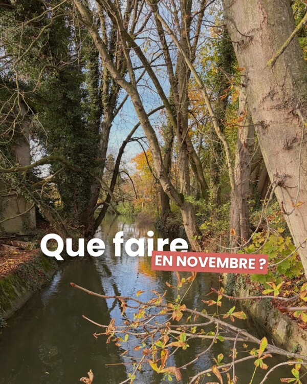 Que faire en novembre ? Laissez-vous...