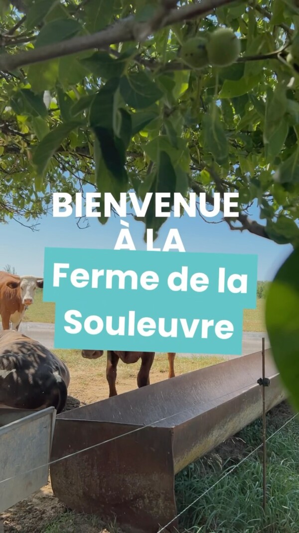 🎥 Bienvenue à la ferme de la...